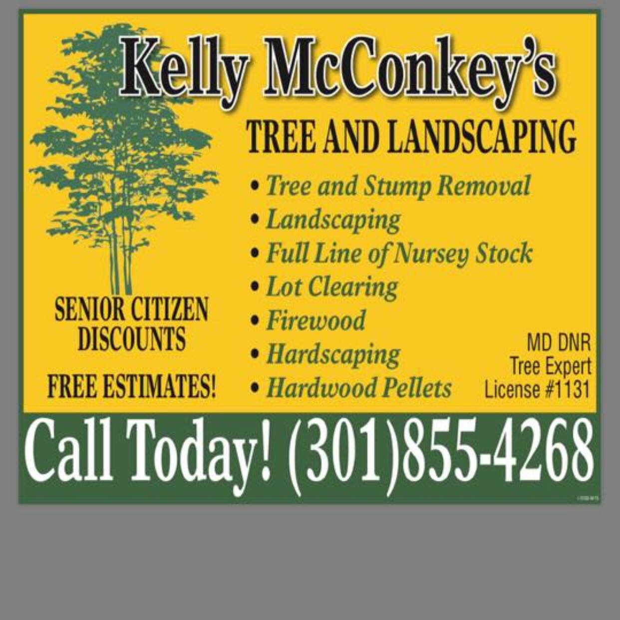 tree-and-landscaping-service-tree-removal-service-you-ll-love